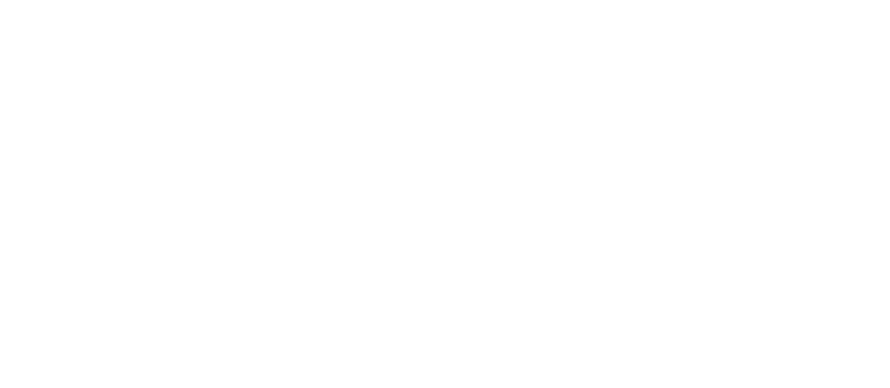 Logo de Particulart, sacos térmicos artesanales con semillas naturales