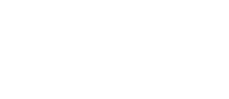 Logo de Particulart, sacos térmicos artesanales con semillas naturales