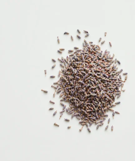 saquito de lavanda para armario